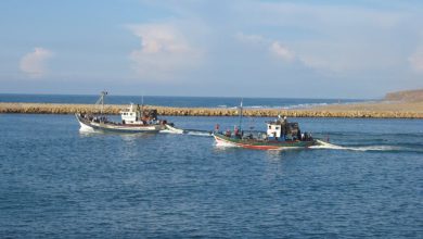 لحماية الحياة البحرية.. المغرب يحدث 5 محميات بحرية جديدة